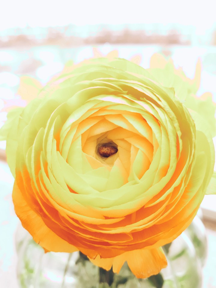 the awakening of spring