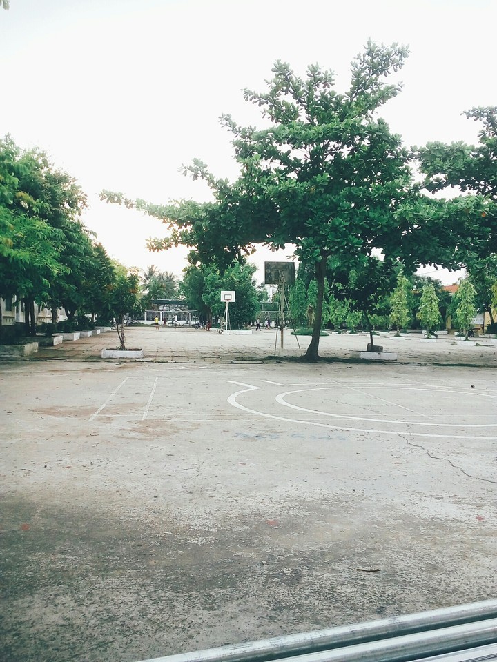 VietNamese School yard ❤
