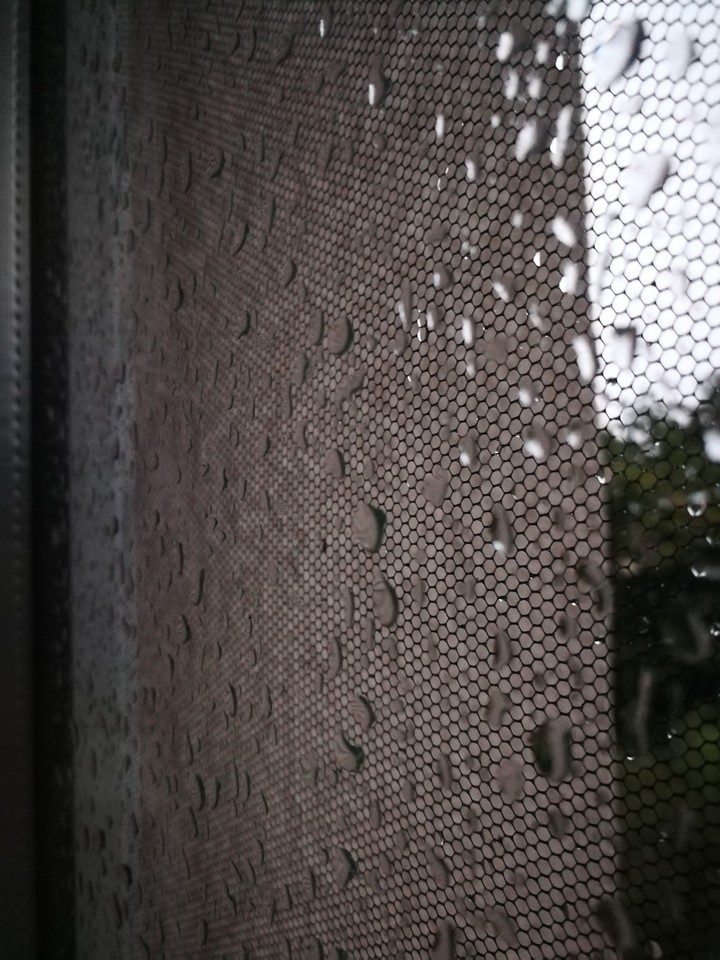 Rain