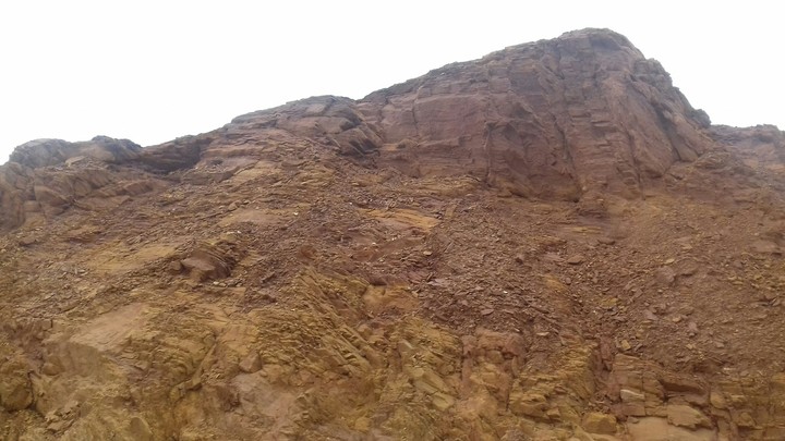 soil