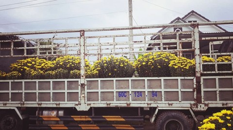 hometown