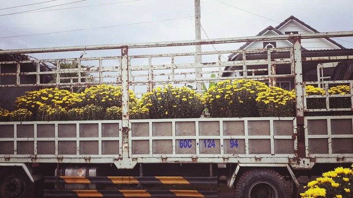 hometown