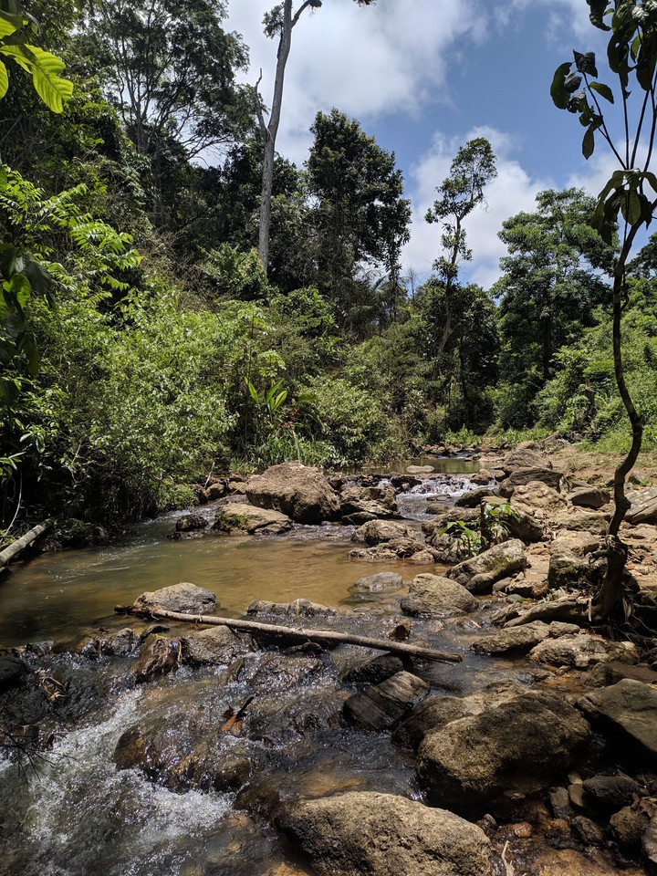 Rio