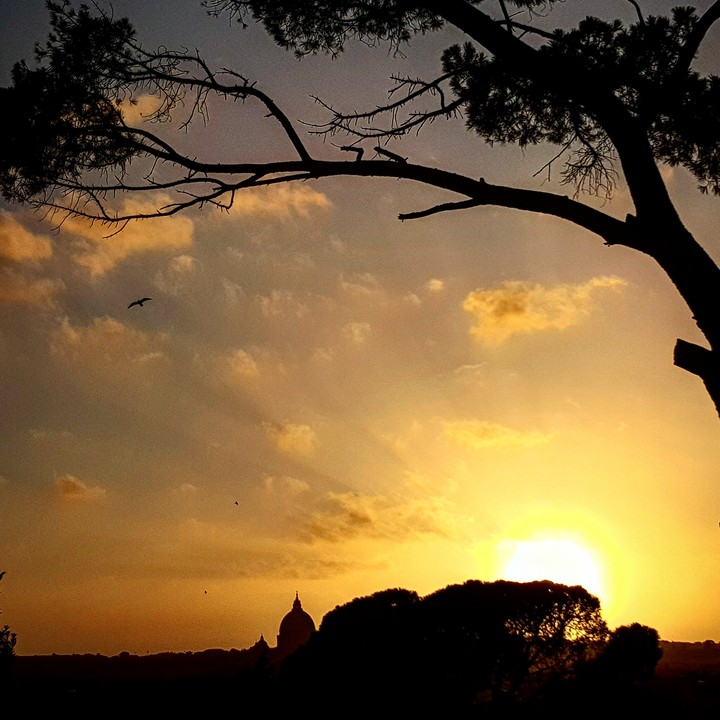 roma