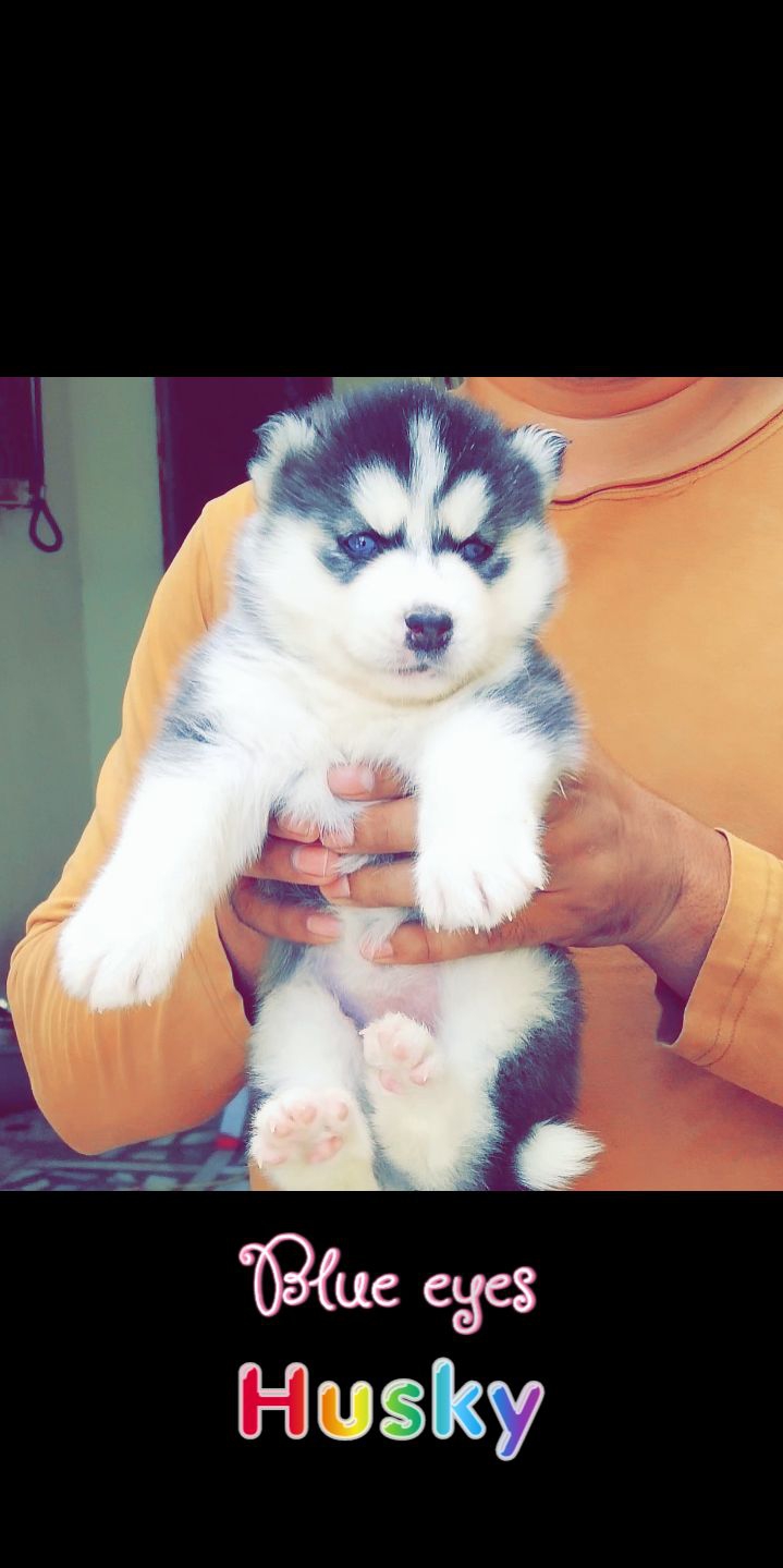 CUTE
