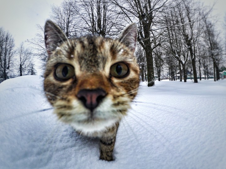 Good Morning!?