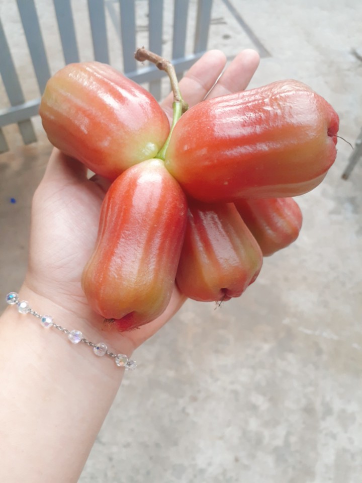 Yummy