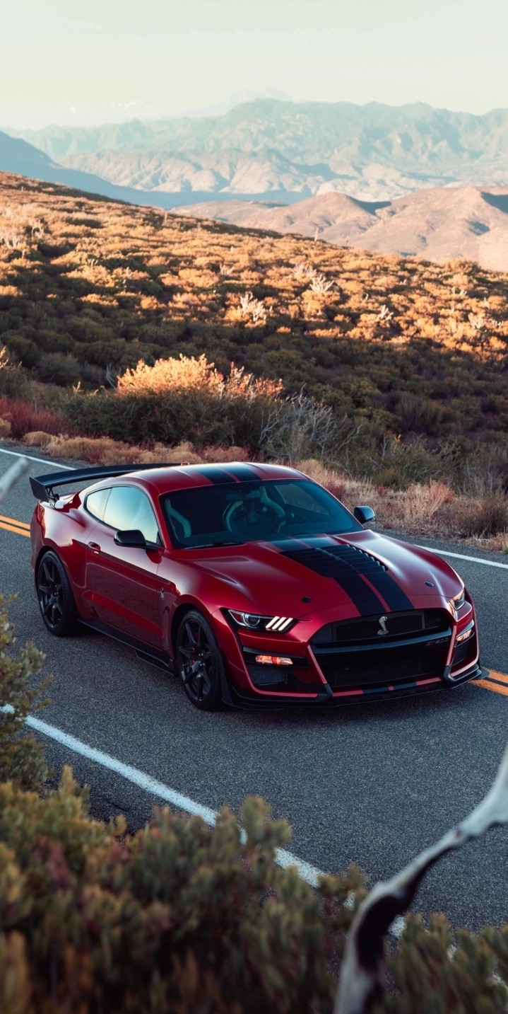 Cobra GT500
