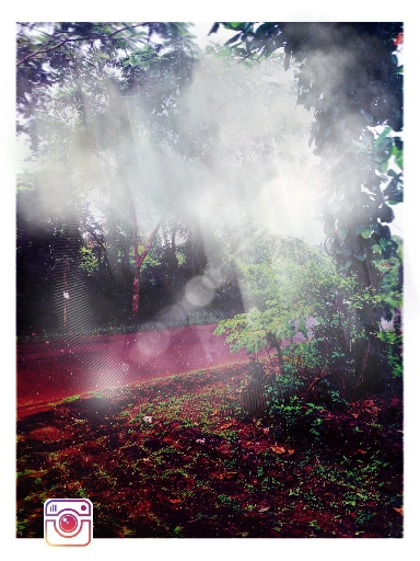 shower of lights