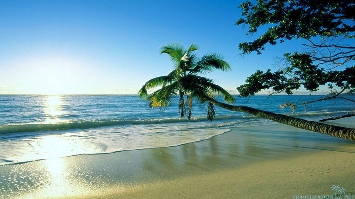 summer Beach