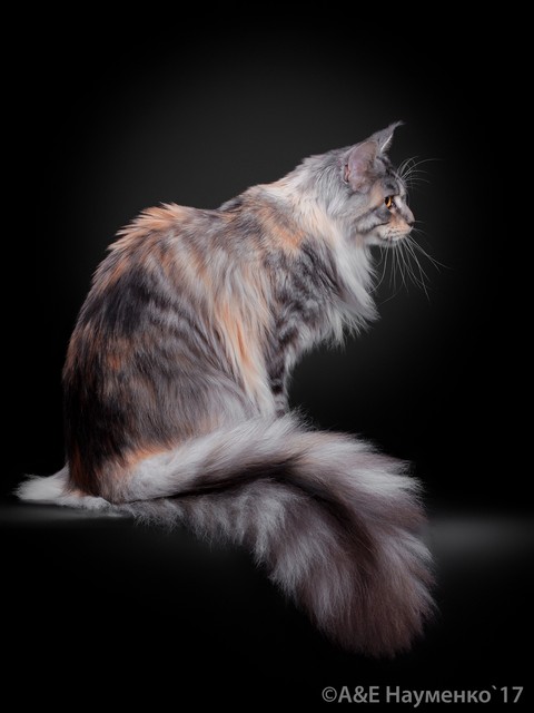 My lovely Esme!