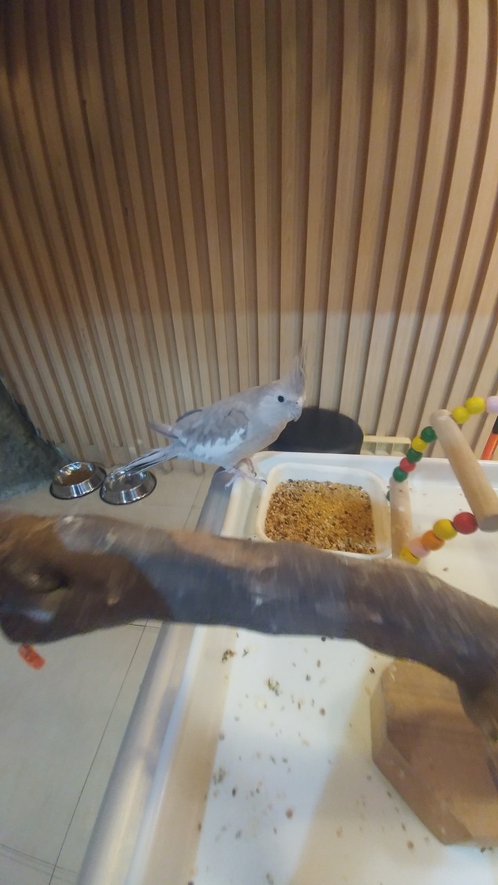 ?