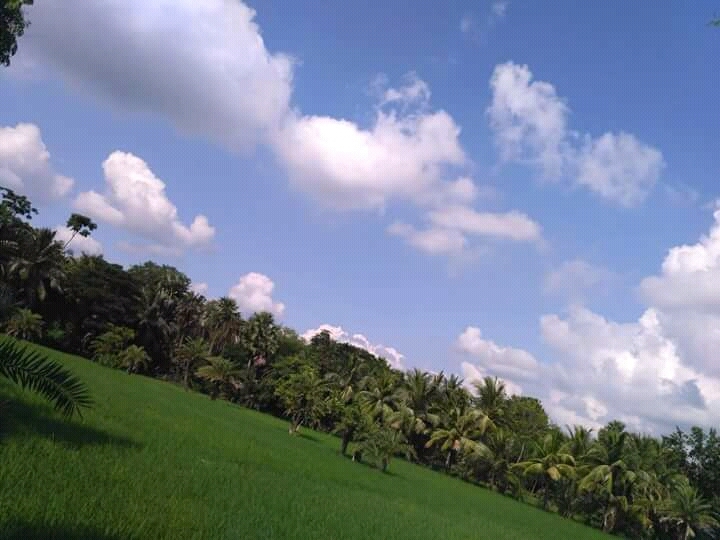 Blue Sky