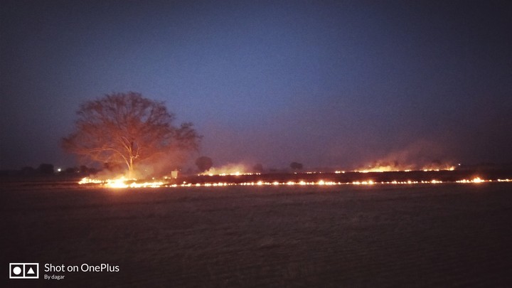 fire circle