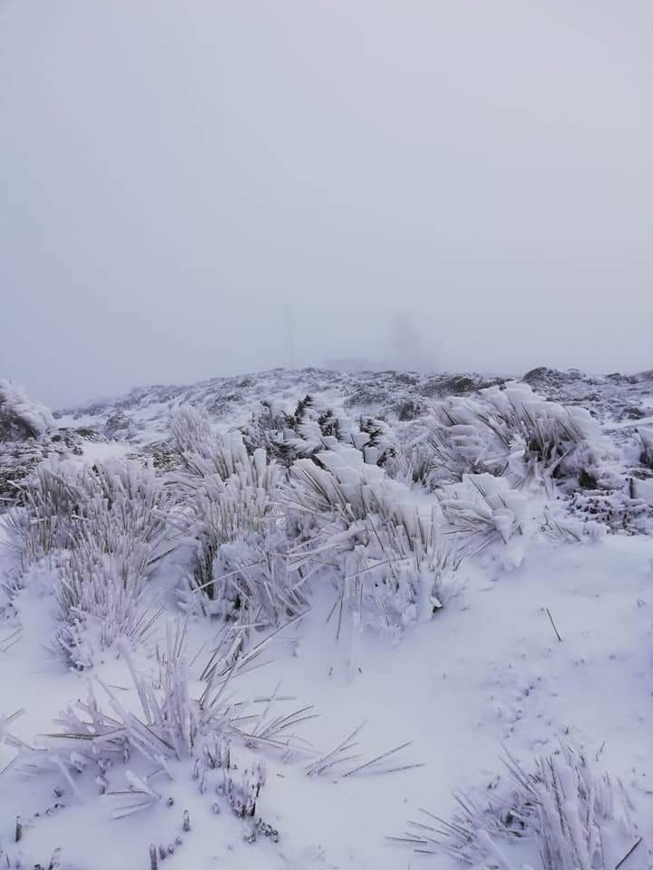 PARKE NACIONAL CAJAS