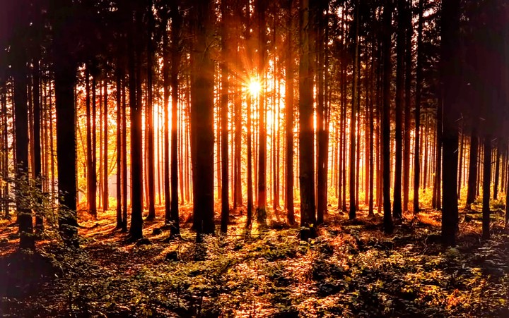 sun set