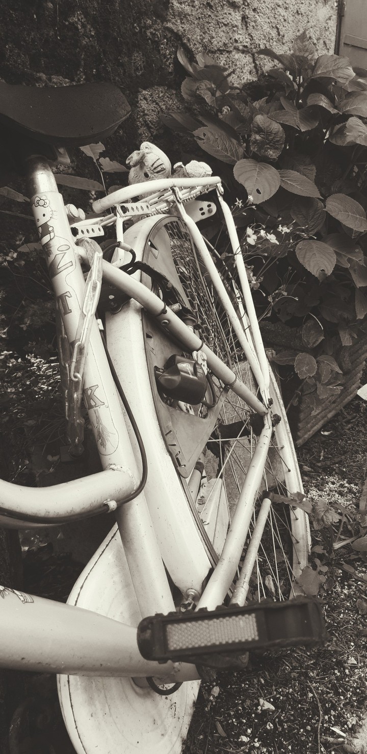 Old abandoned bicycle