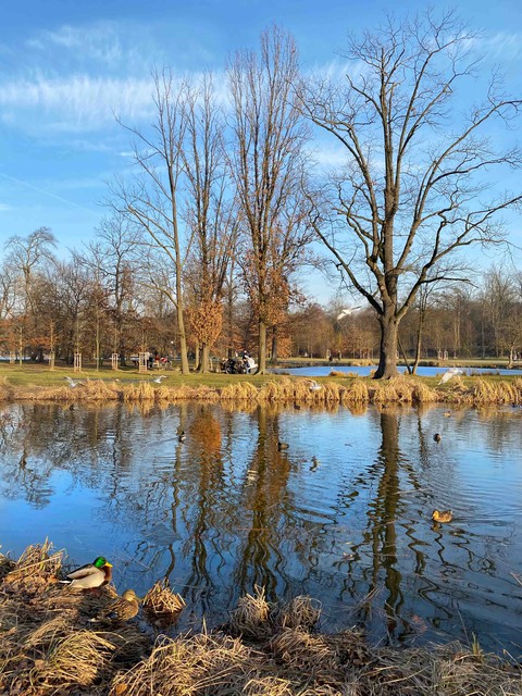 Park