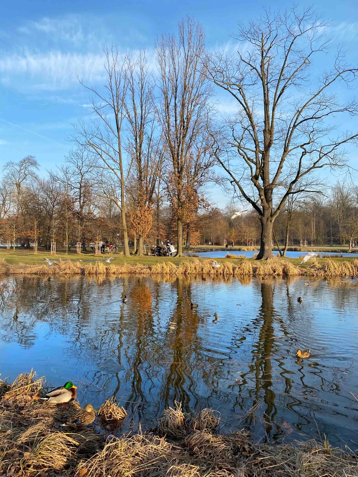 Park