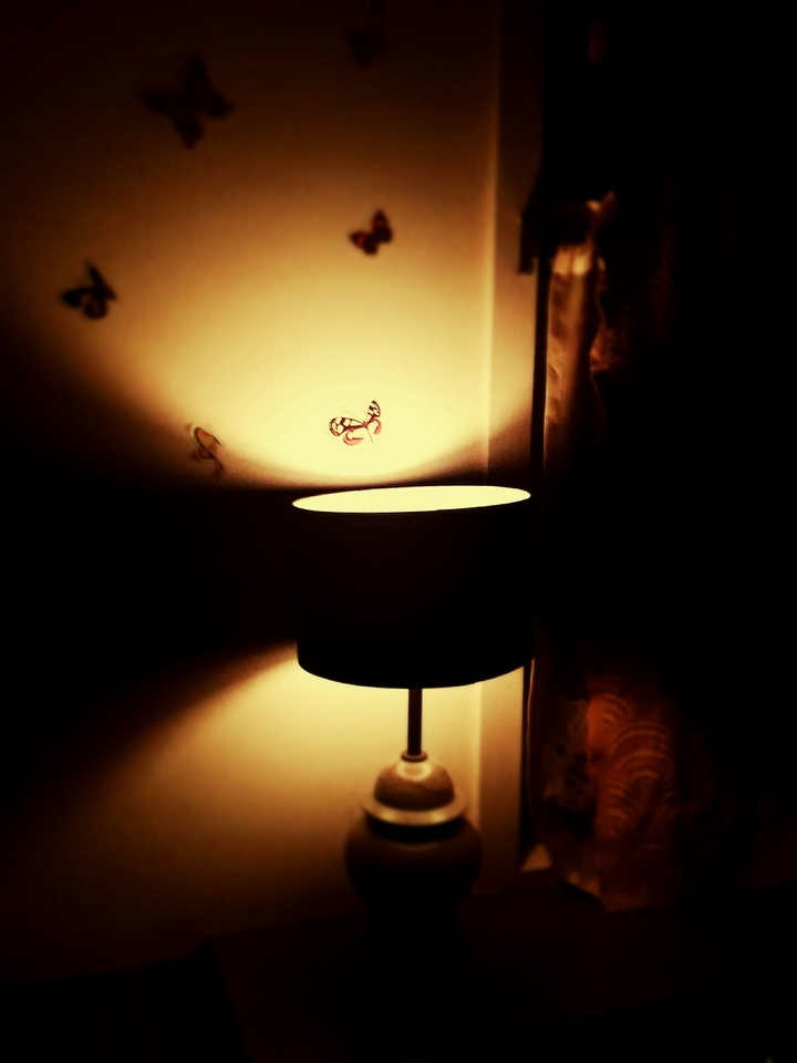 The Night Lamp