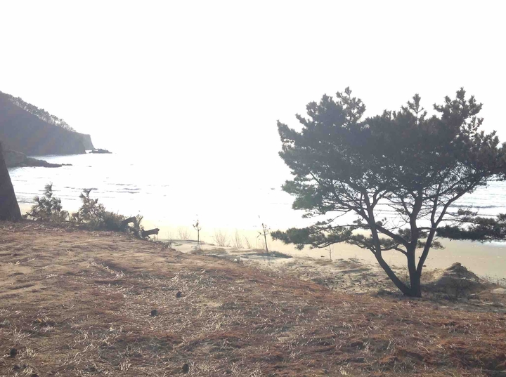 몽환의 바다