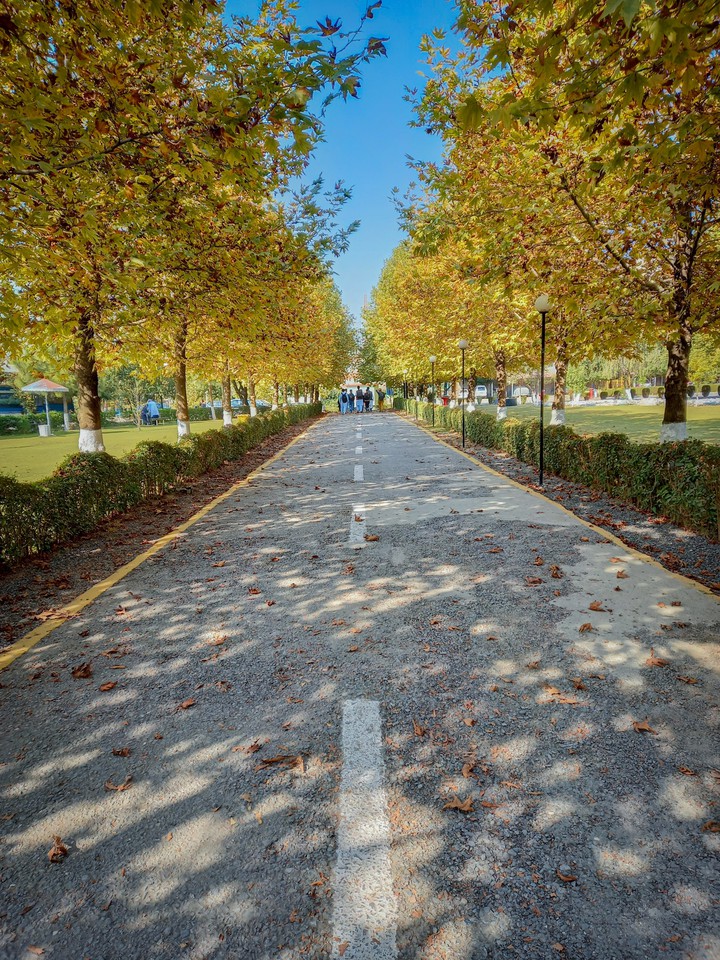 Autumn ?