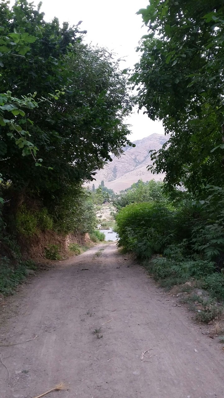 semkir rayonu seyfeli kendi