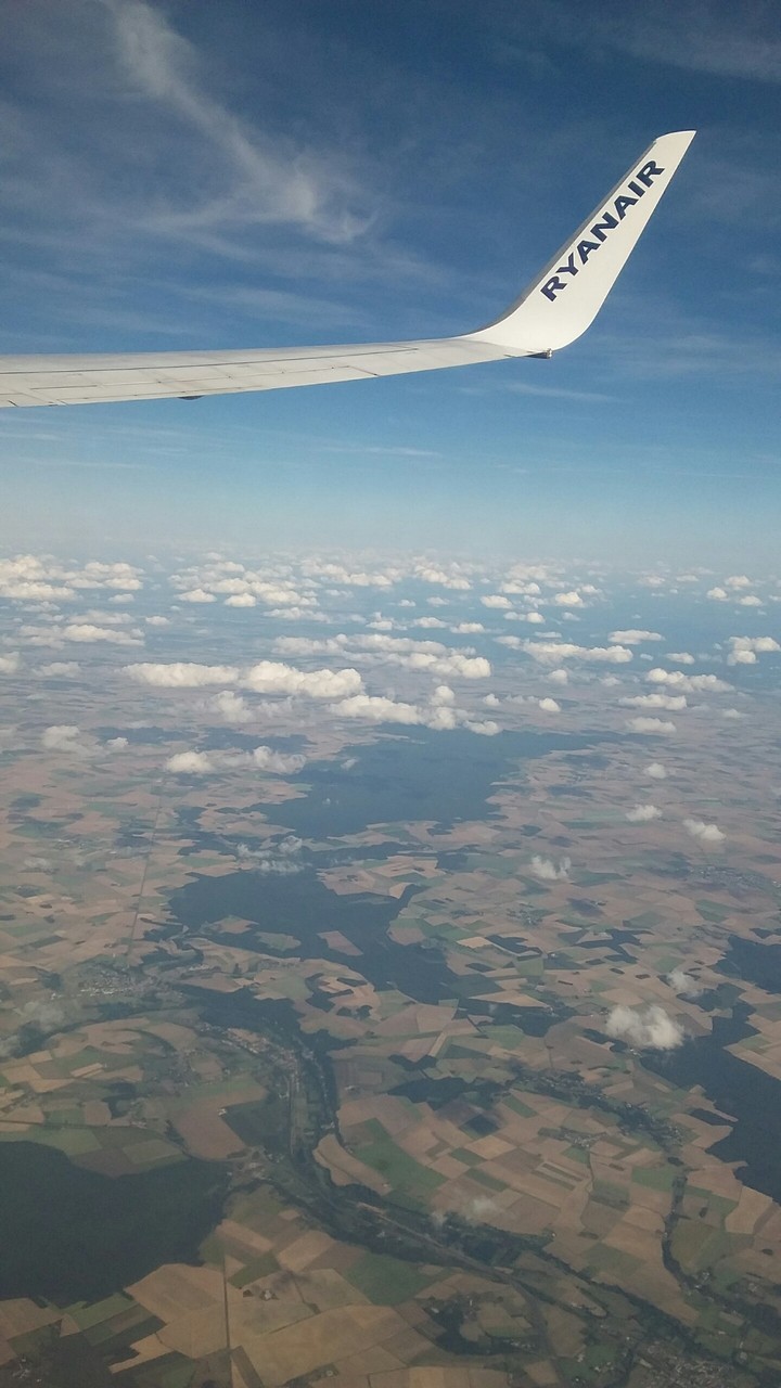 Fly