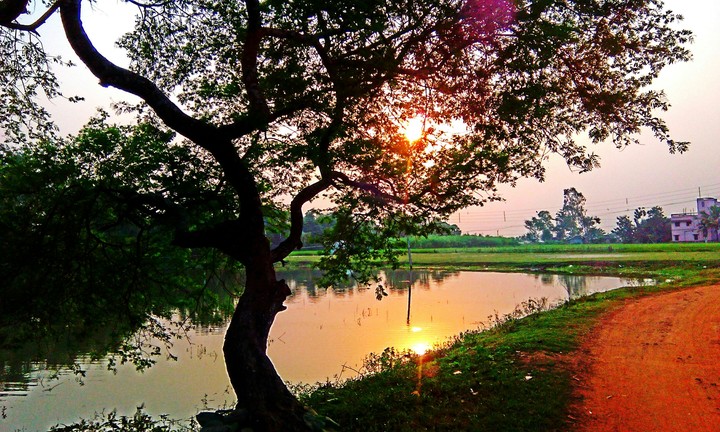 spectacular sunset