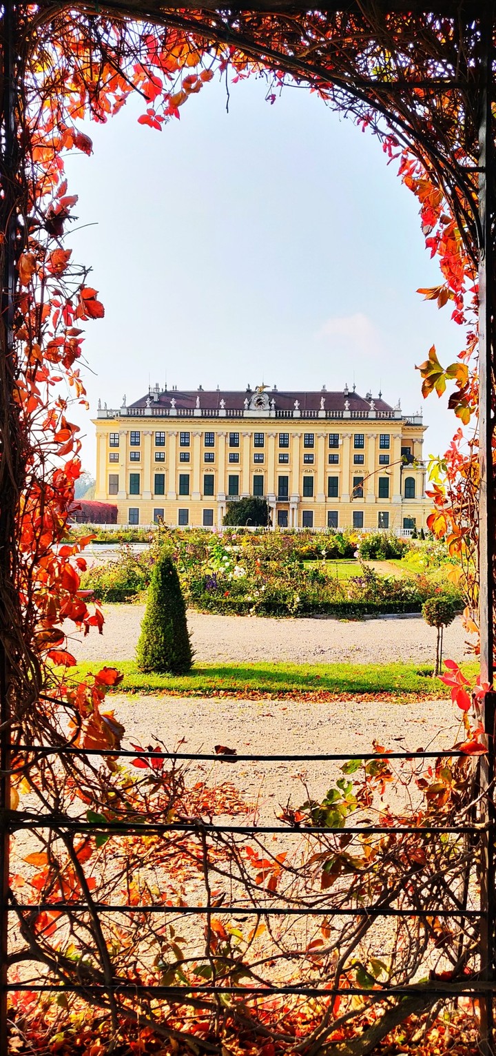 Schönbrunn Palace