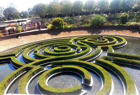 Maze
