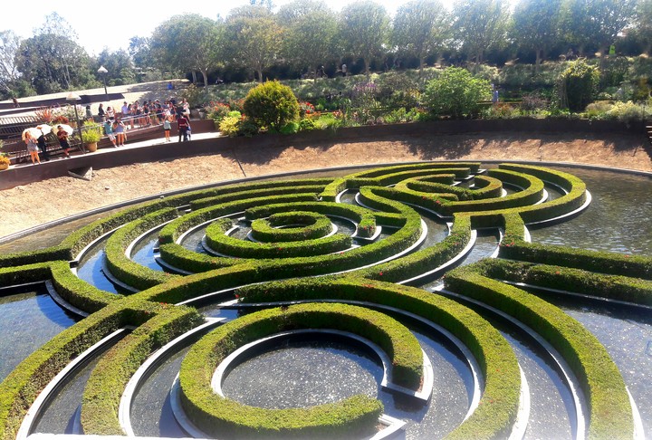Maze