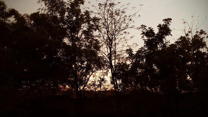 sun hiding behind between two trees.....