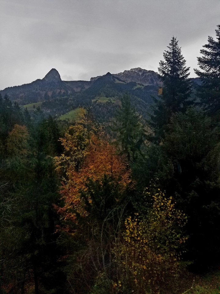 fall in the Swiss Alps