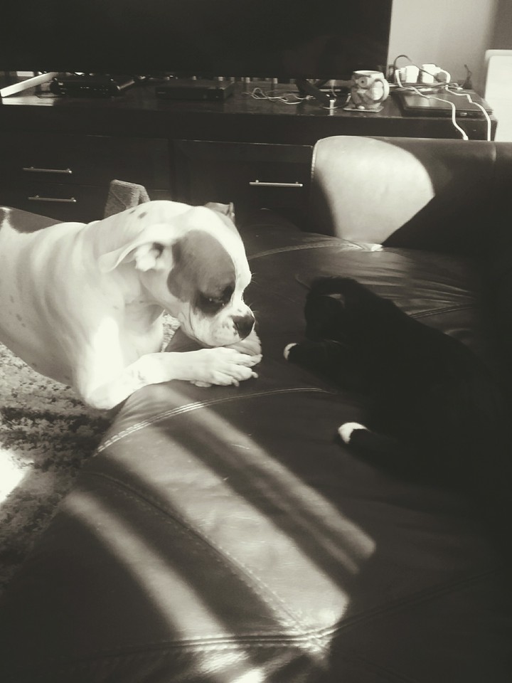 hi your in my spot