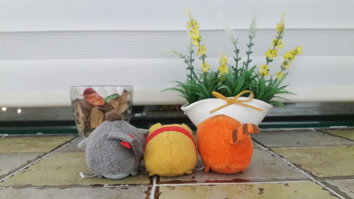 곰,당나귀,호랑이....