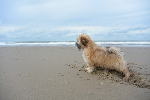 op het strand