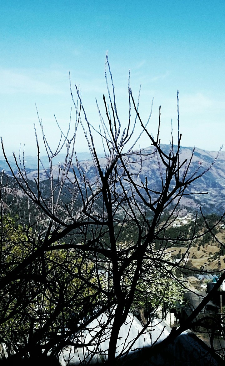Happy to click pic