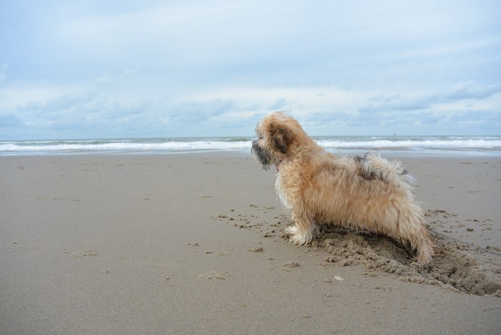 op het strand