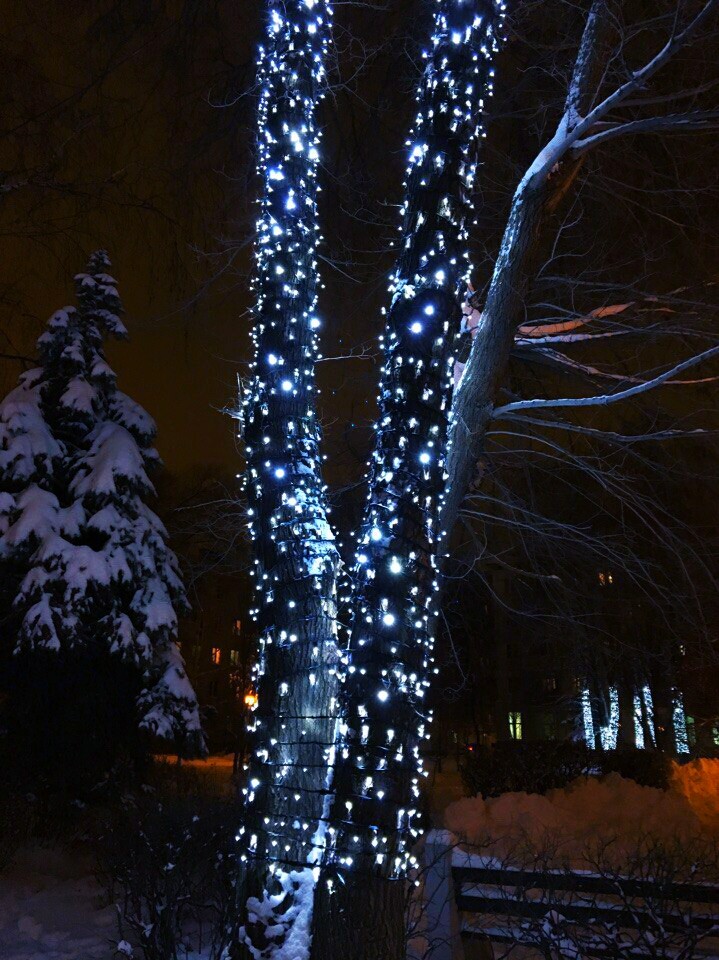 ❄