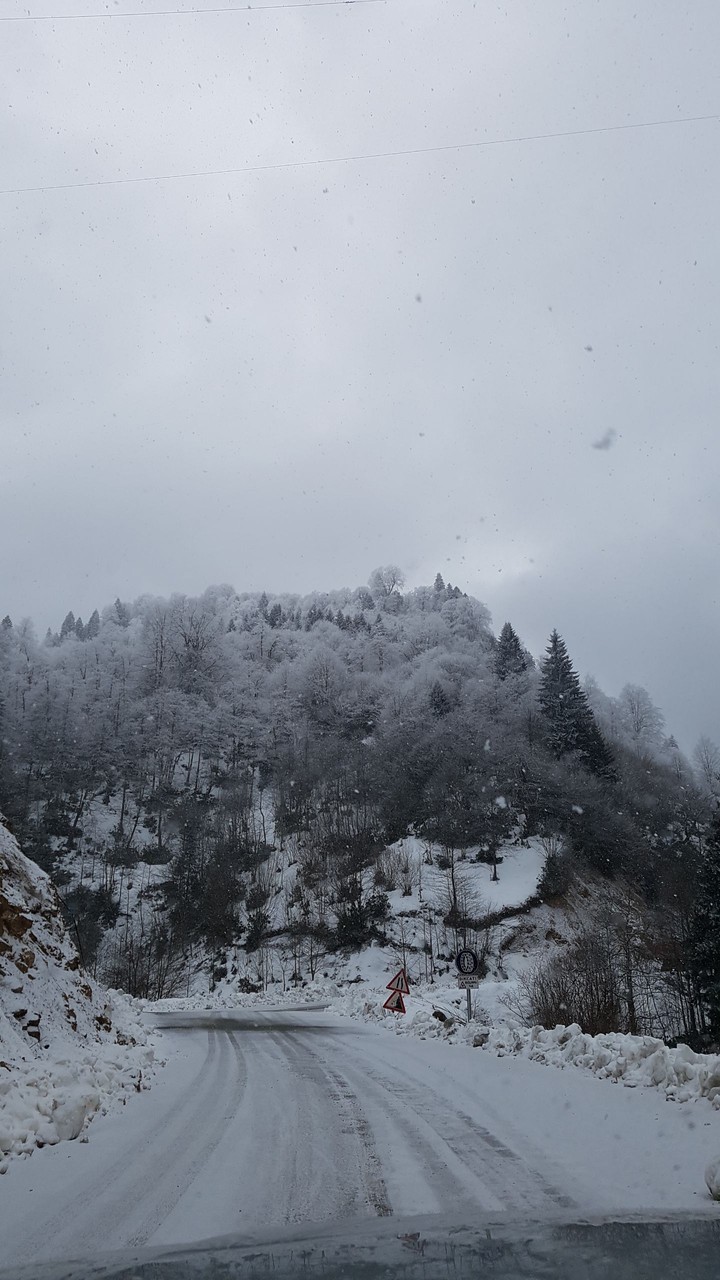 yayla yolları