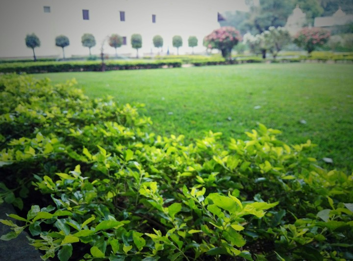 Tipu's Summer Palace Bangalore