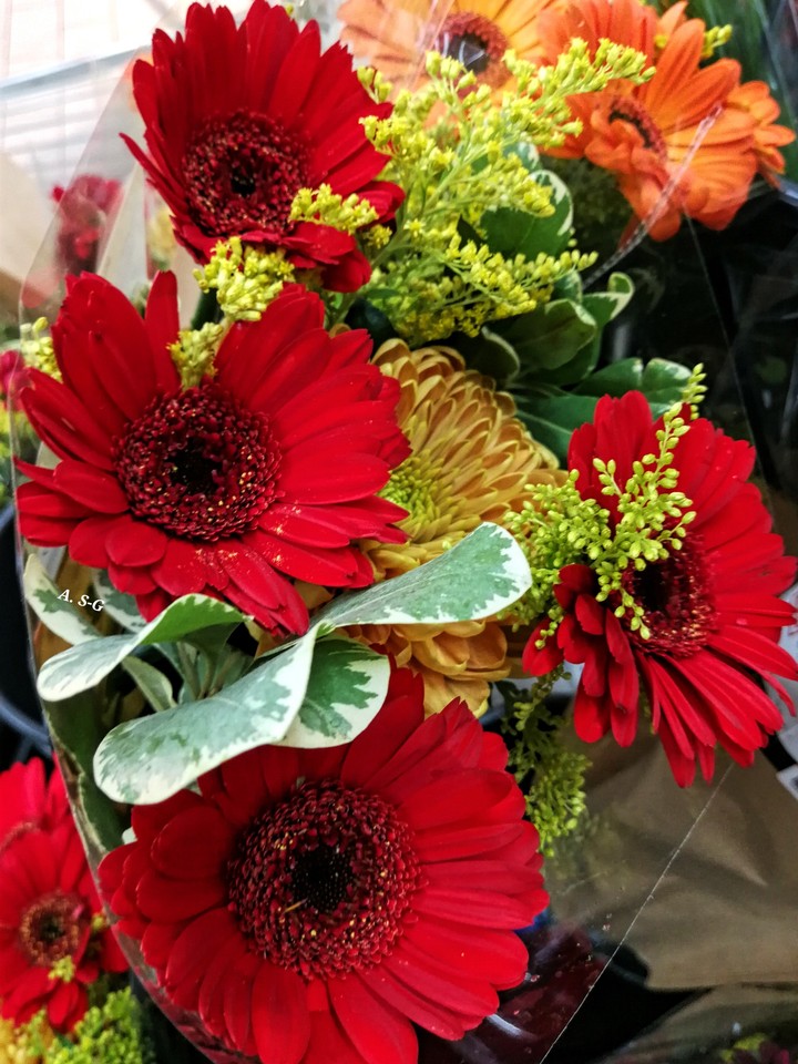Blumen