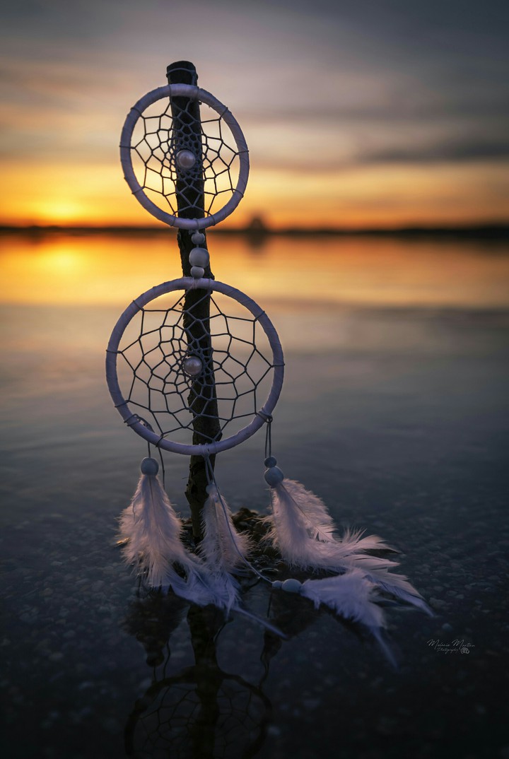 Dreamcatcher