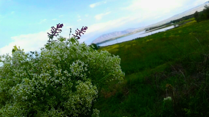 huzur ?
