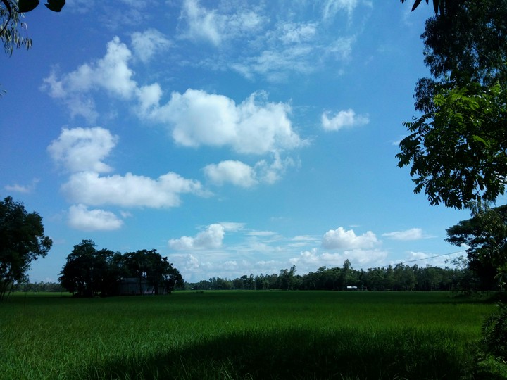 Village