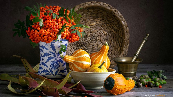 Rowanberries and pumpkins