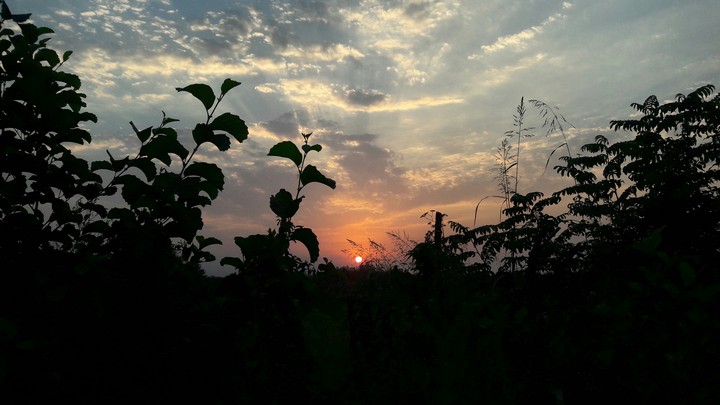 Tiny Sun