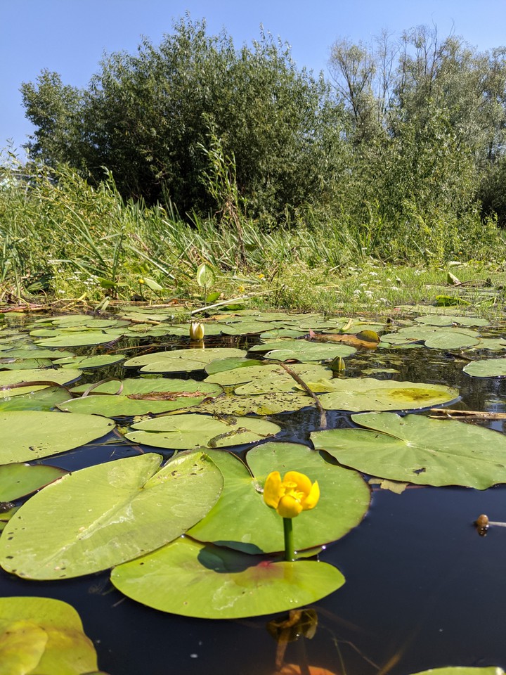 Ukraine Dnister river