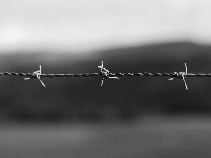 fence